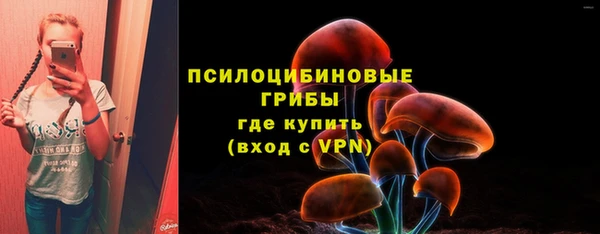 гашик Волосово