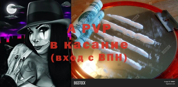 гашик Волосово