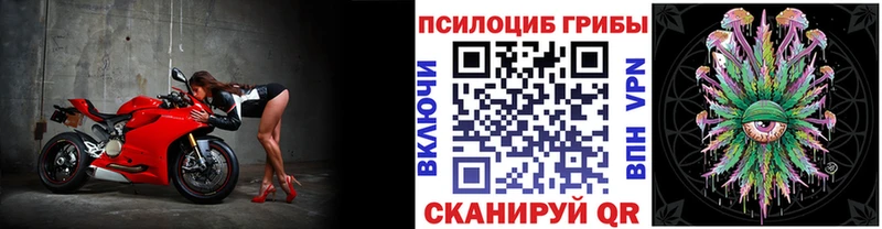 Галлюциногенные грибы Magic Shrooms  Черняховск 